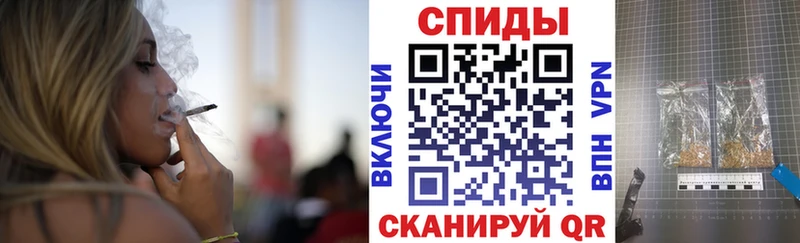 мега зеркало Жиздра Бутират BDO