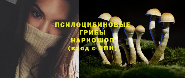 молекула духа Баксан