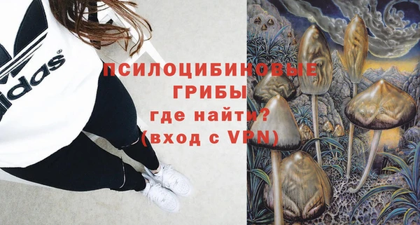прущие грибы Беломорск
