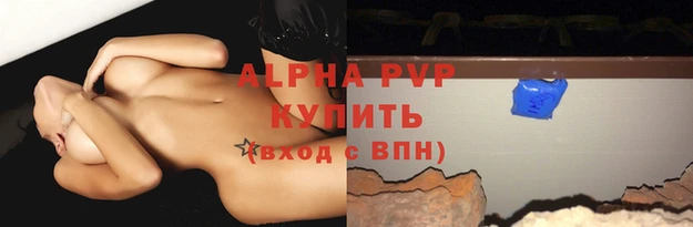 крисы Белокуриха