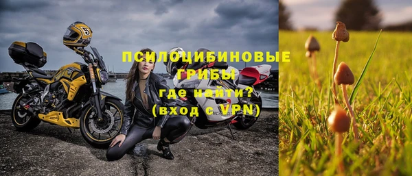 крисы Белокуриха