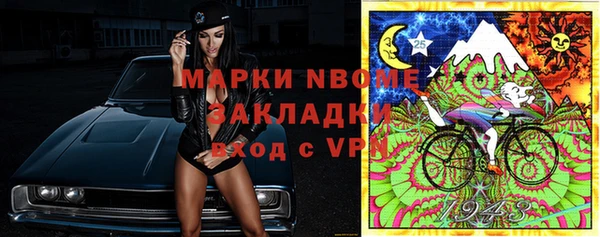 прущие грибы Беломорск