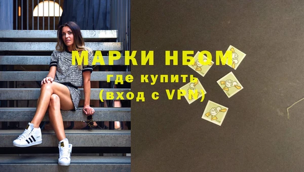 прущие грибы Беломорск