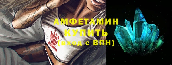 прущие грибы Беломорск