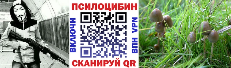 наркота Жиздра Псилоцибиновые грибы мухоморы